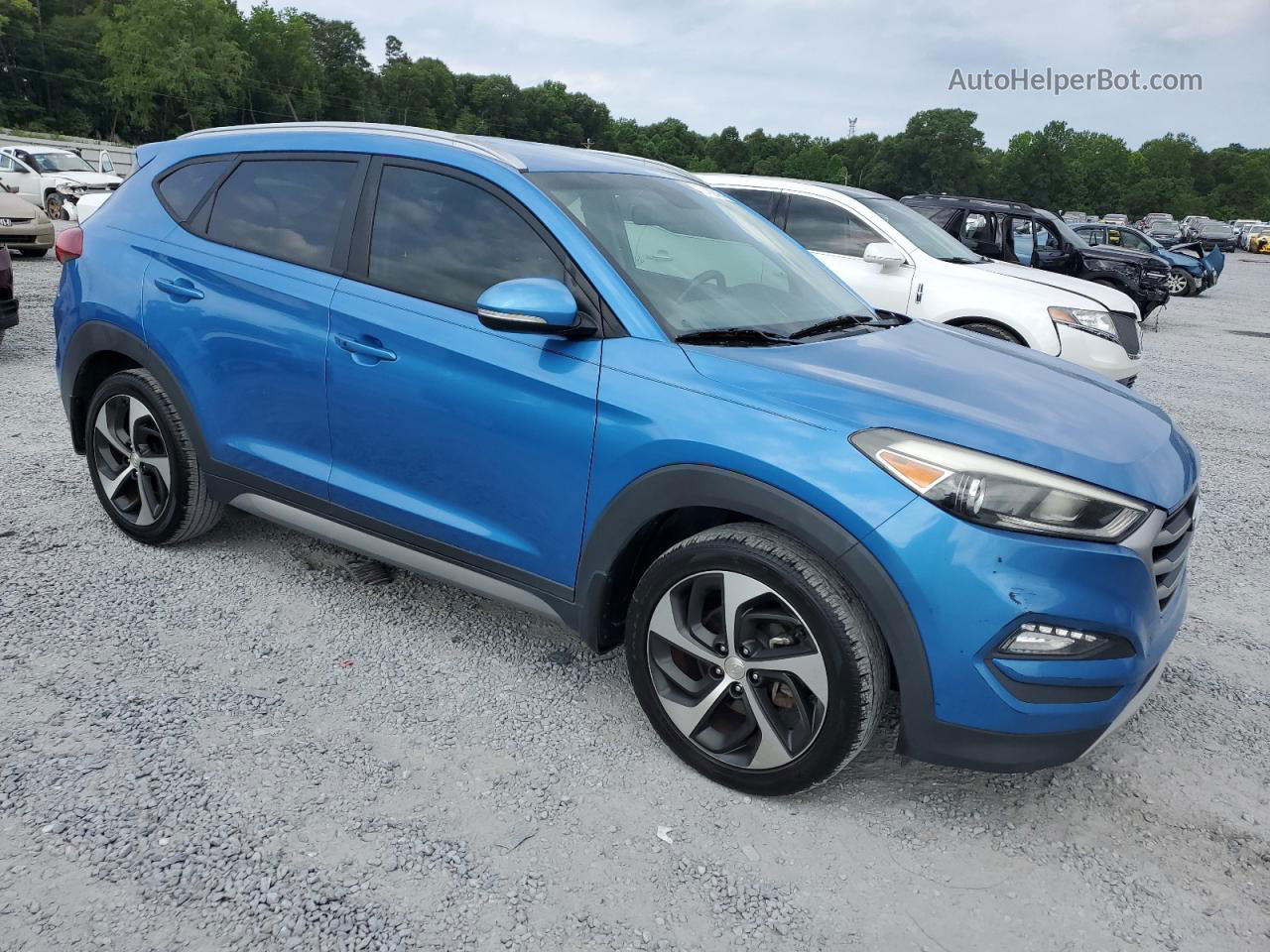 2017 Hyundai Tucson Limited Blue vin: KM8J33A26HU368938