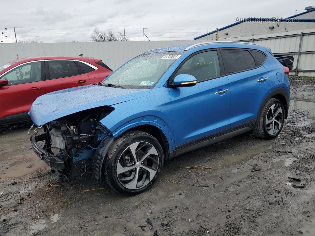 2016 Hyundai Tucson Limited Синий vin: KM8J33A27GU141594