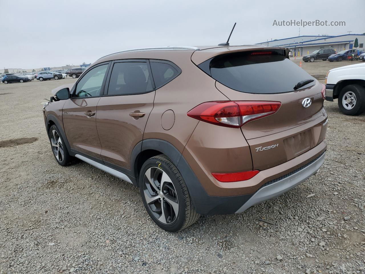 2017 Hyundai Tucson Limited Brown vin: KM8J33A28HU535607