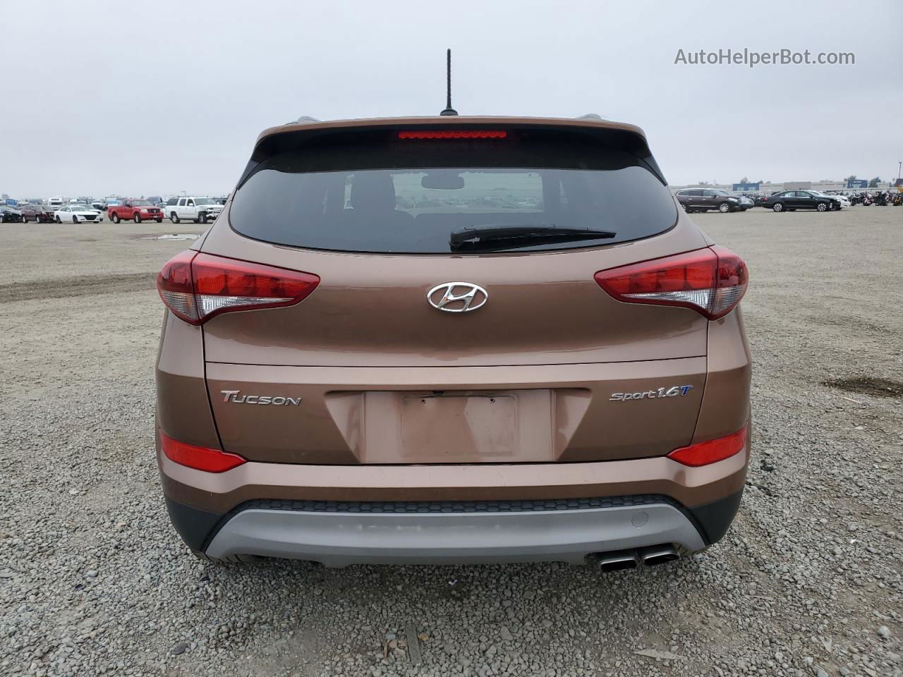 2017 Hyundai Tucson Limited Brown vin: KM8J33A28HU535607