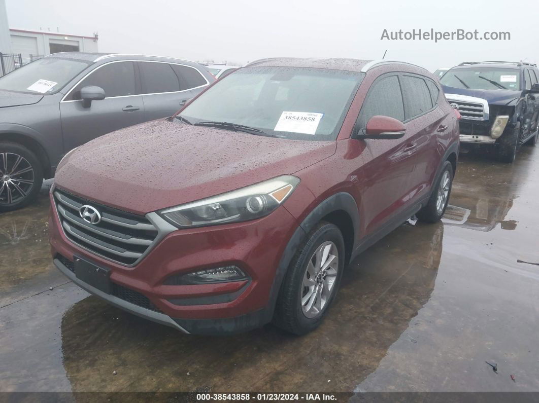 2016 Hyundai Tucson Eco Красный vin: KM8J33A2XGU081732