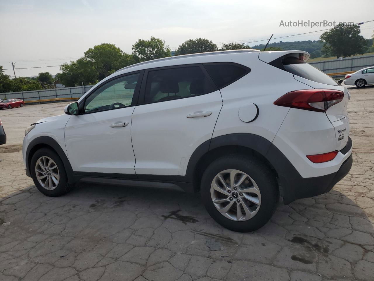 2016 Hyundai Tucson Limited White vin: KM8J33A40GU211308