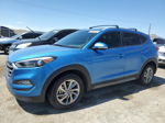 2017 Hyundai Tucson Limited Синий vin: KM8J33A40HU524991