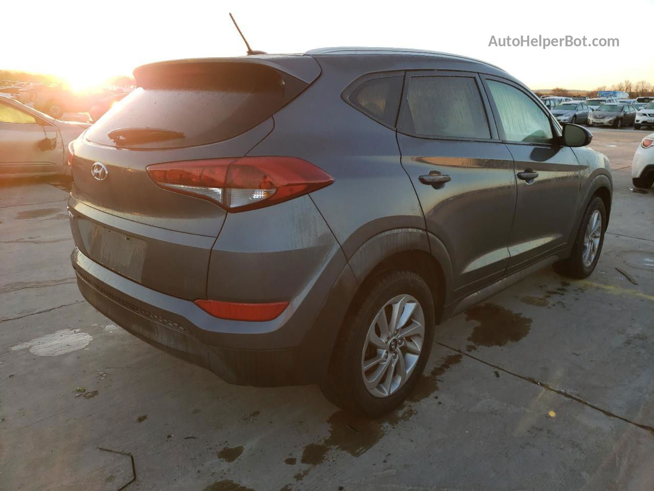 2016 Hyundai Tucson Limited Gray vin: KM8J33A41GU117633