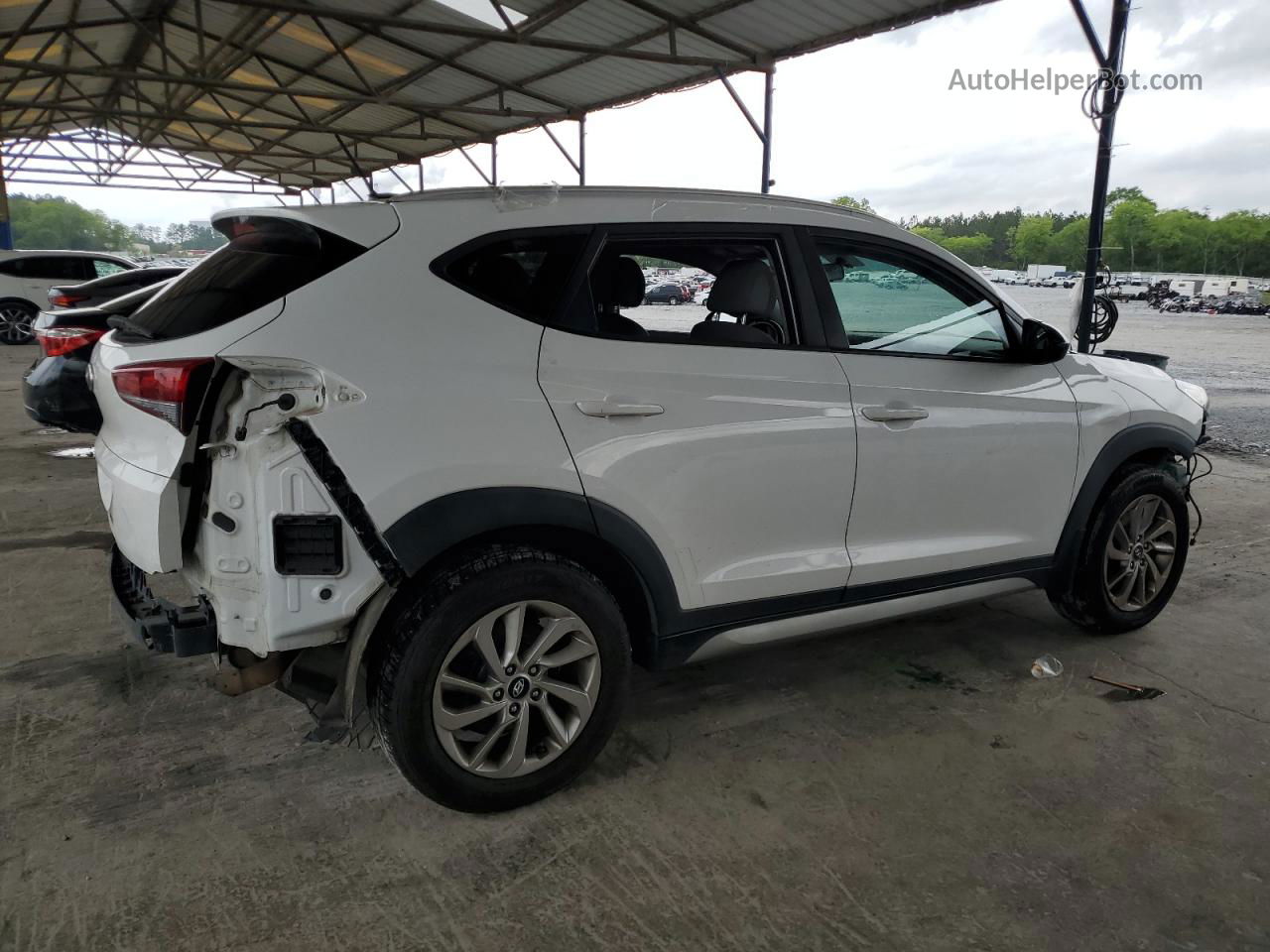 2017 Hyundai Tucson Limited Белый vin: KM8J33A41HU263919