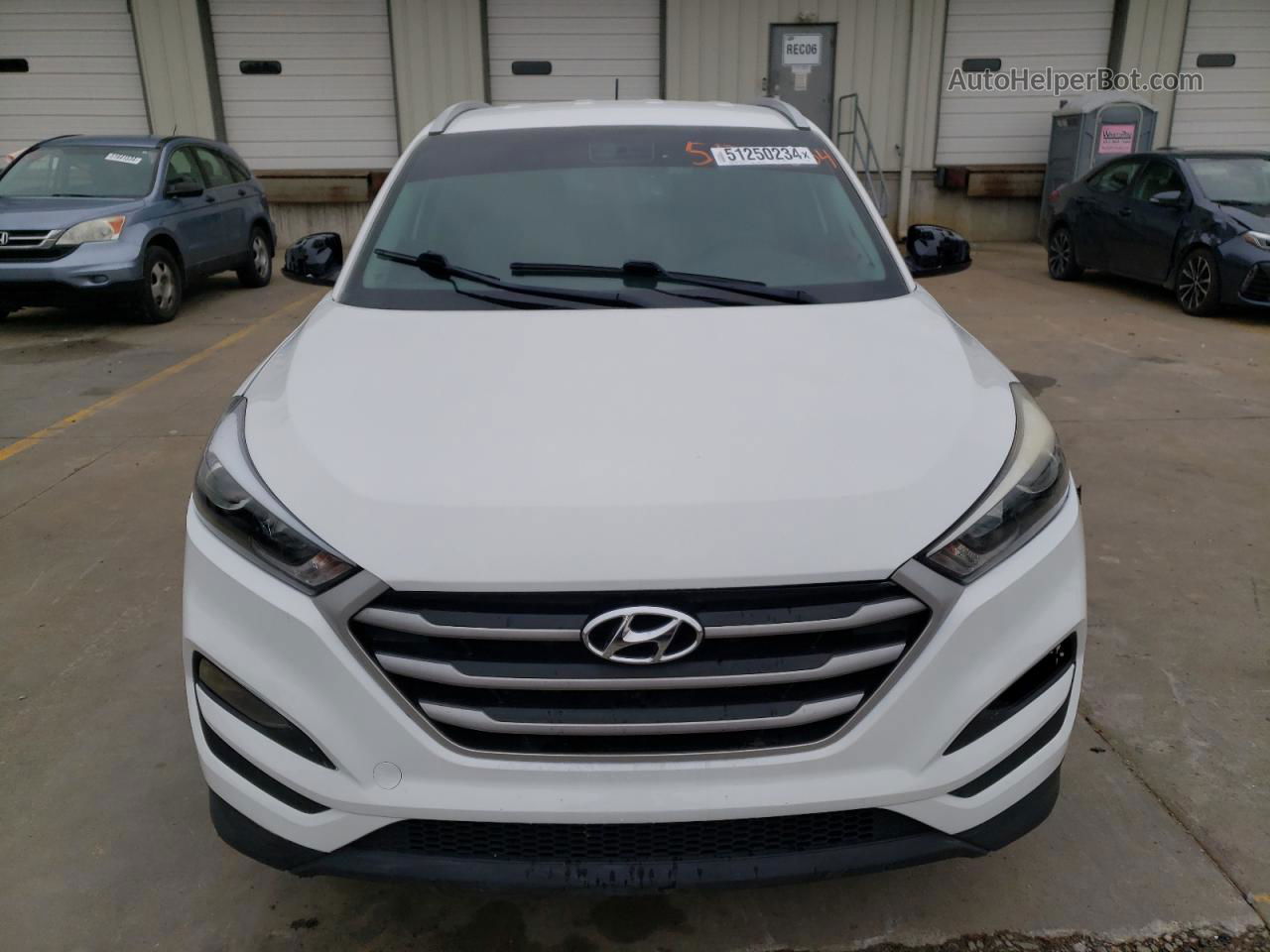 2017 Hyundai Tucson Limited Белый vin: KM8J33A41HU414533