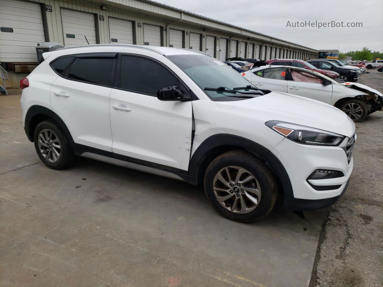 2017 Hyundai Tucson Limited Белый vin: KM8J33A41HU414533