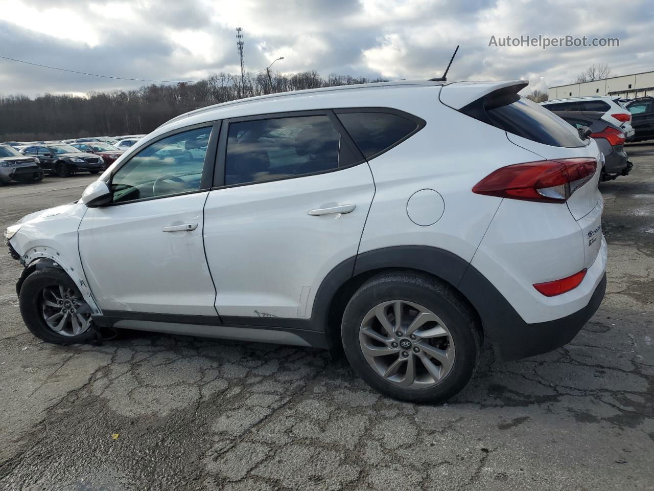 2017 Hyundai Tucson Limited White vin: KM8J33A41HU567798