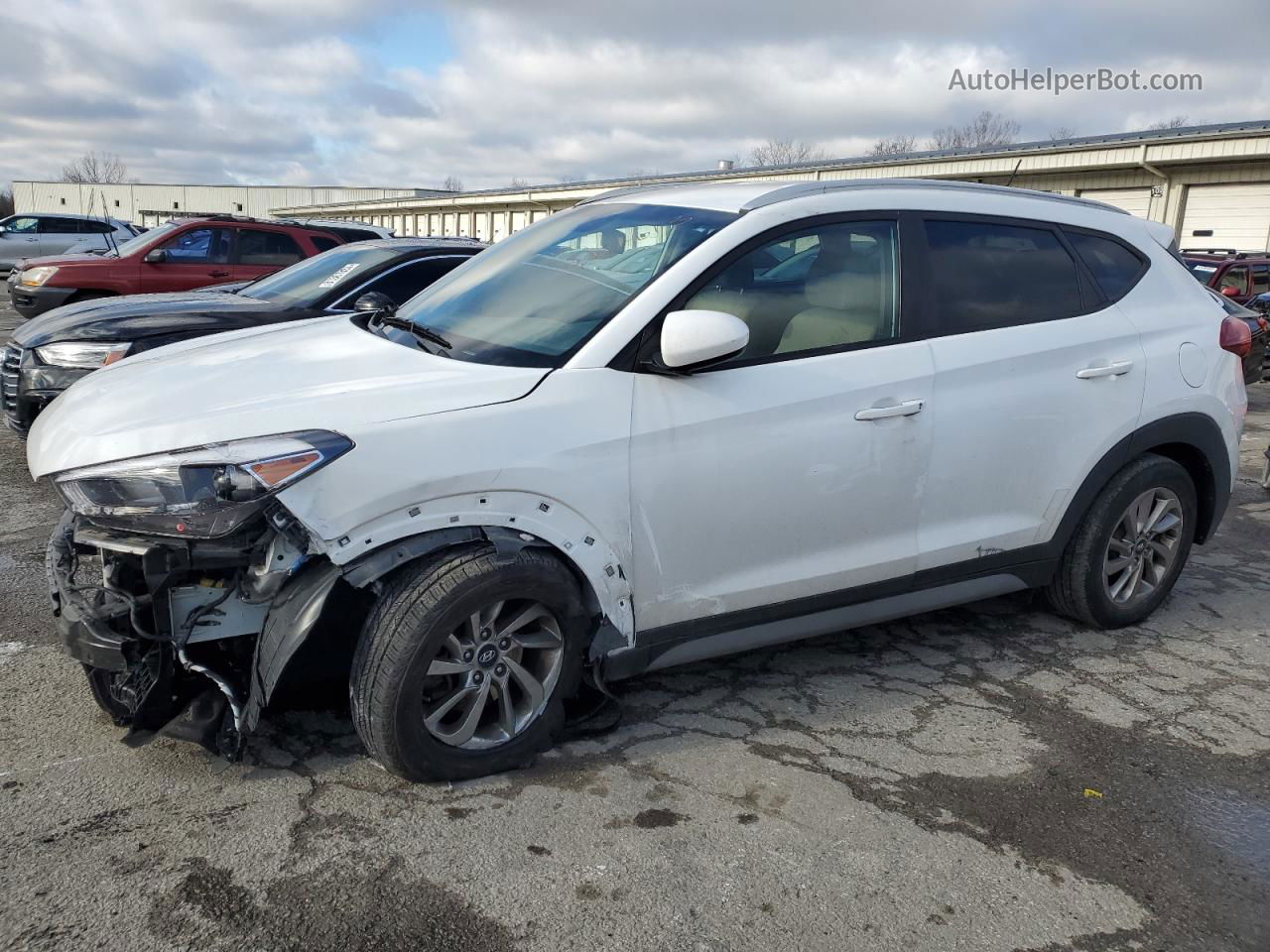 2017 Hyundai Tucson Limited White vin: KM8J33A41HU567798