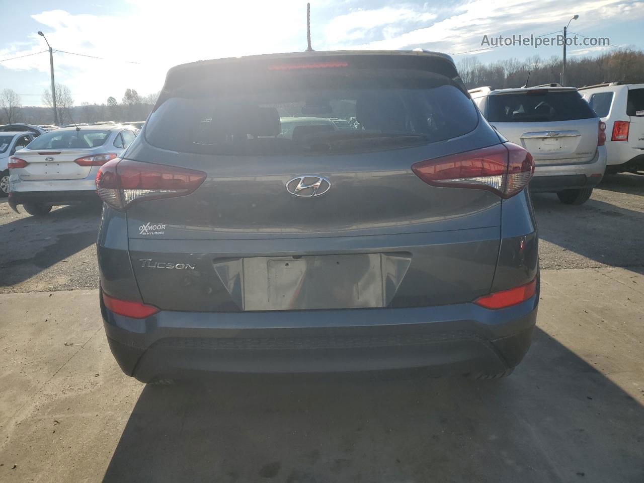 2017 Hyundai Tucson Limited Gray vin: KM8J33A41HU593804