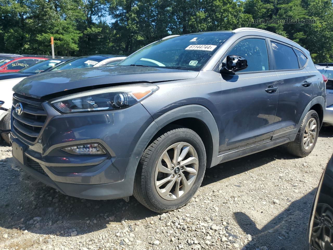 2016 Hyundai Tucson Limited Gray vin: KM8J33A43GU093819