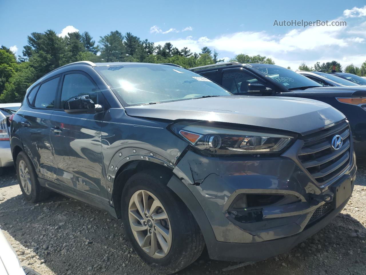 2016 Hyundai Tucson Limited Gray vin: KM8J33A43GU093819