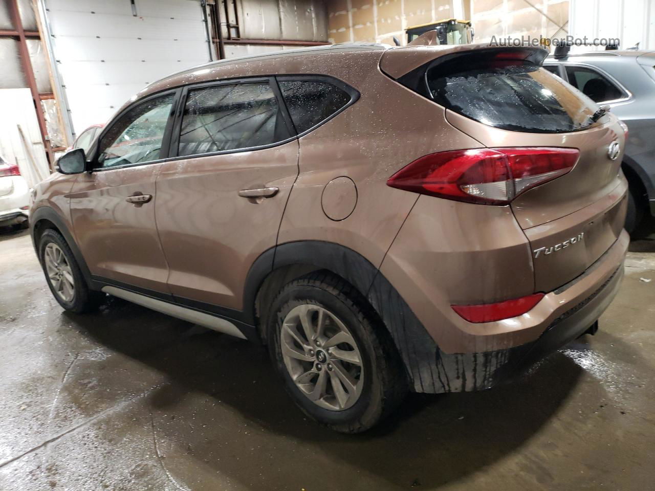 2017 Hyundai Tucson Limited Brown vin: KM8J33A43HU413870