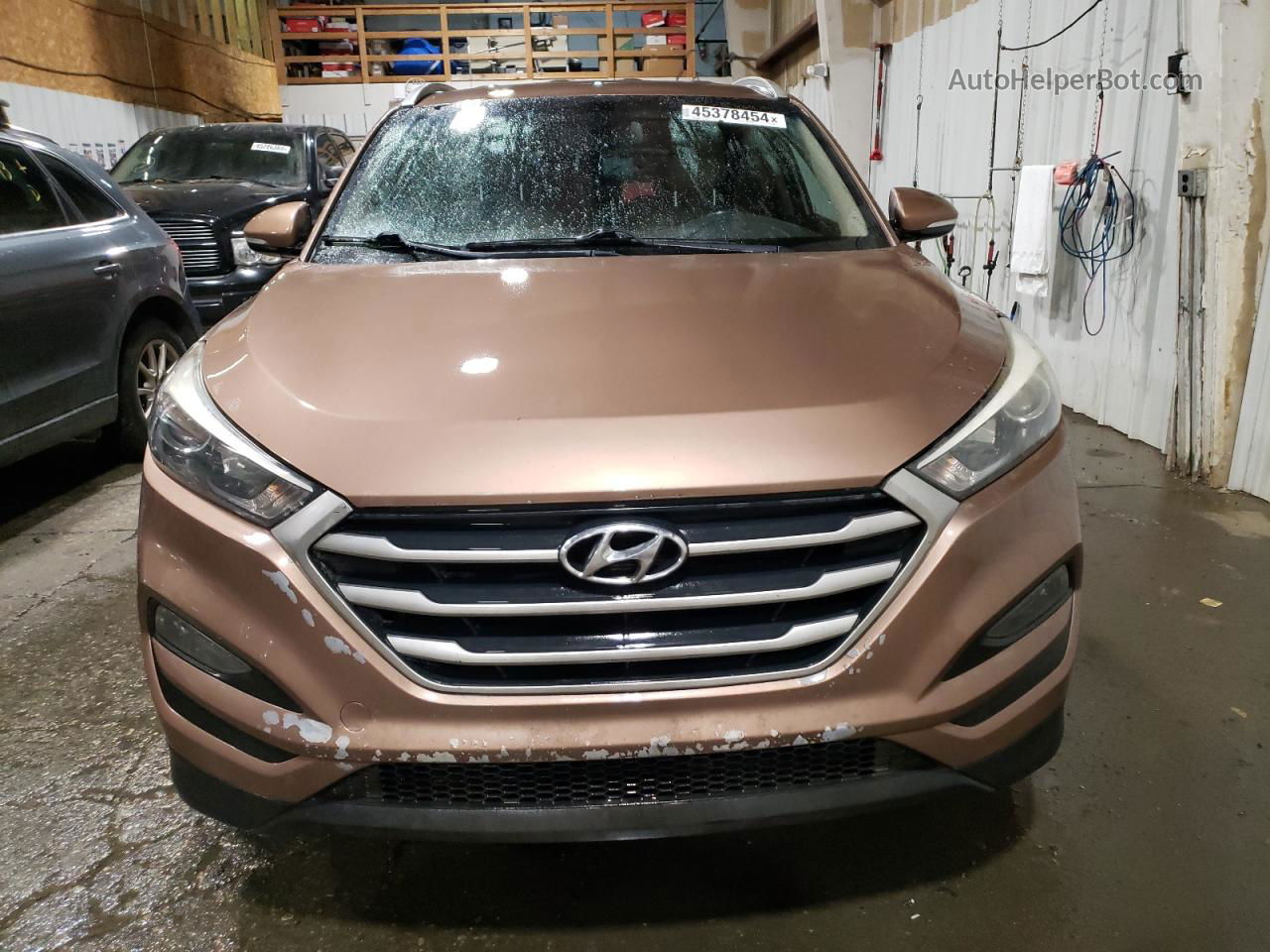 2017 Hyundai Tucson Limited Brown vin: KM8J33A43HU413870