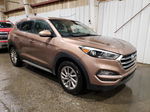 2017 Hyundai Tucson Limited Brown vin: KM8J33A43HU413870