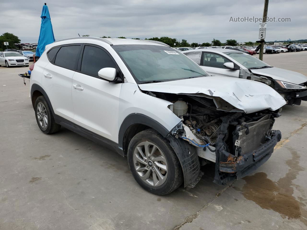 2016 Hyundai Tucson Limited White vin: KM8J33A44GU137939