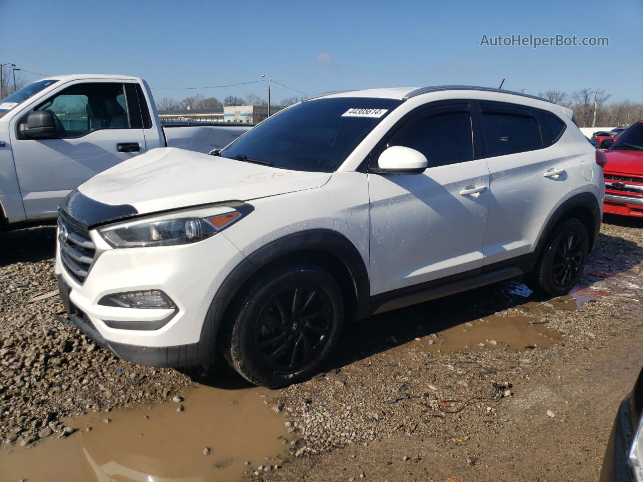 2017 Hyundai Tucson Limited White vin: KM8J33A45HU277970