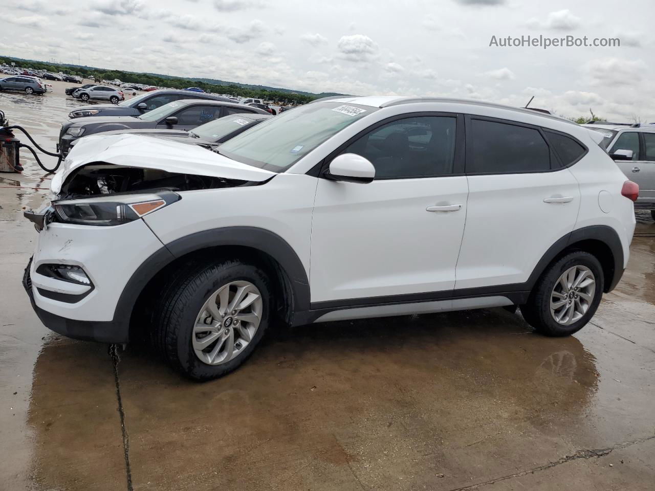 2017 Hyundai Tucson Limited Белый vin: KM8J33A45HU438110