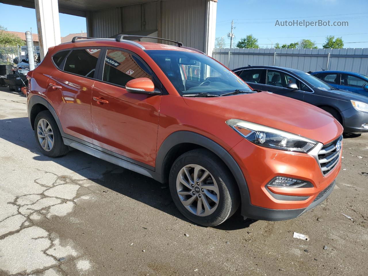 2017 Hyundai Tucson Limited Red vin: KM8J33A45HU445610