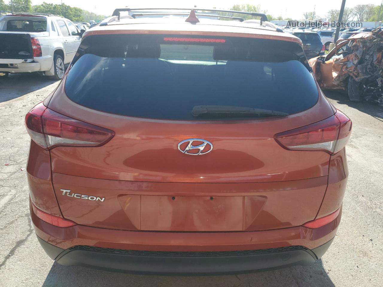 2017 Hyundai Tucson Limited Red vin: KM8J33A45HU445610