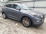 2017 Hyundai Tucson Limited Gray vin: KM8J33A46HU305260