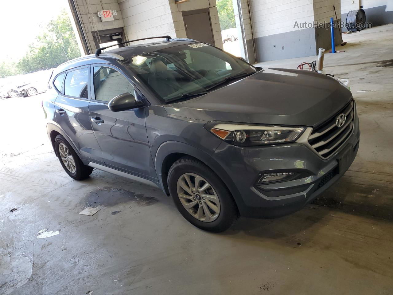 2017 Hyundai Tucson Limited Blue vin: KM8J33A46HU388205