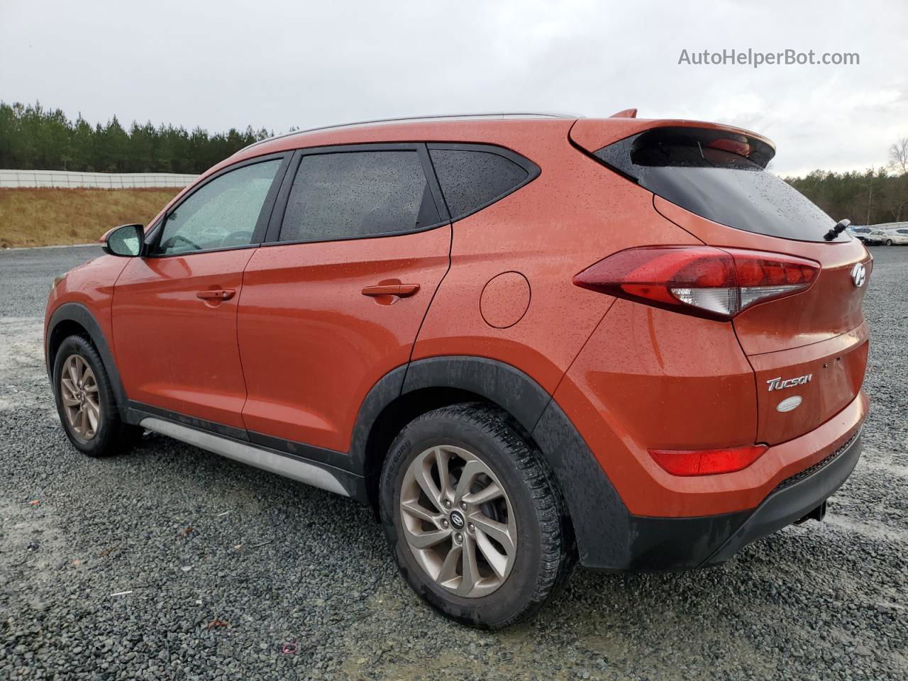 2017 Hyundai Tucson Limited Оранжевый vin: KM8J33A46HU449696