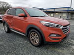 2017 Hyundai Tucson Limited Оранжевый vin: KM8J33A46HU449696