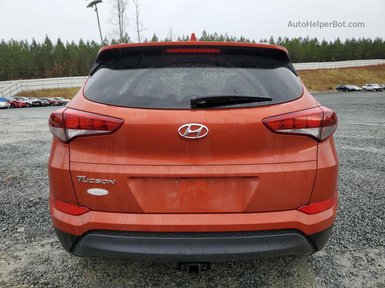 2017 Hyundai Tucson Limited Оранжевый vin: KM8J33A46HU449696