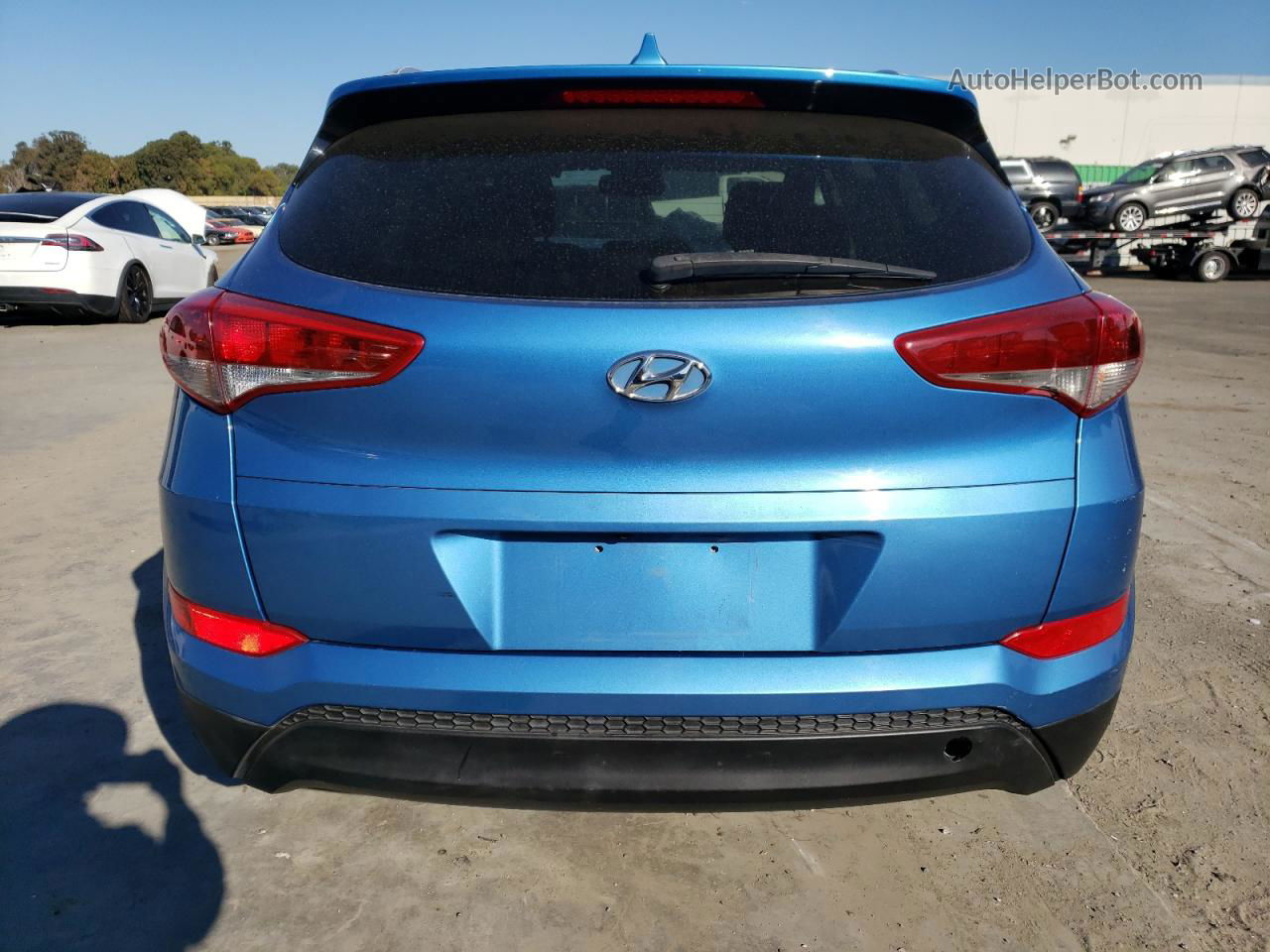 2017 Hyundai Tucson Limited Blue vin: KM8J33A46HU526776