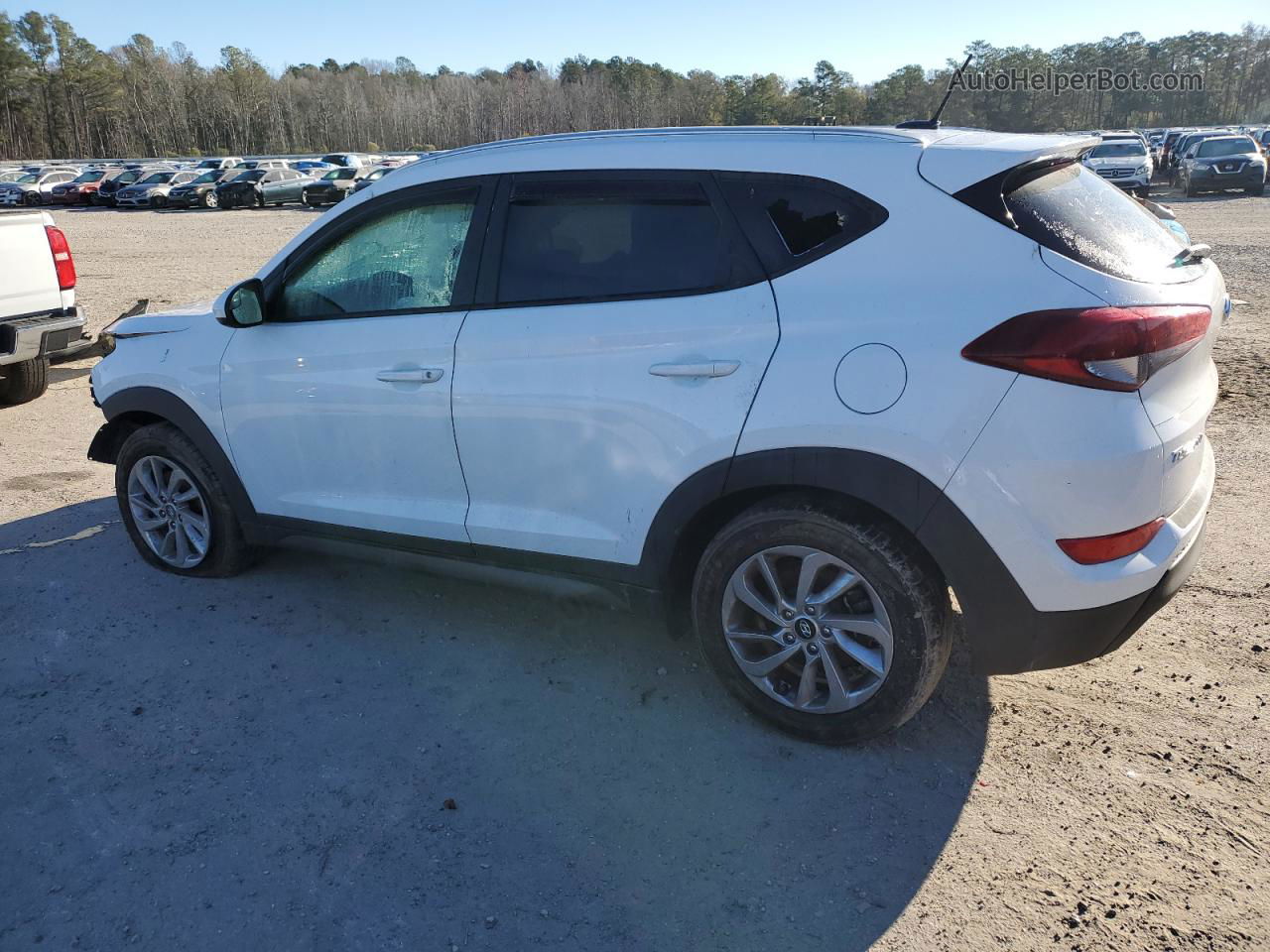 2016 Hyundai Tucson Limited White vin: KM8J33A47GU177092