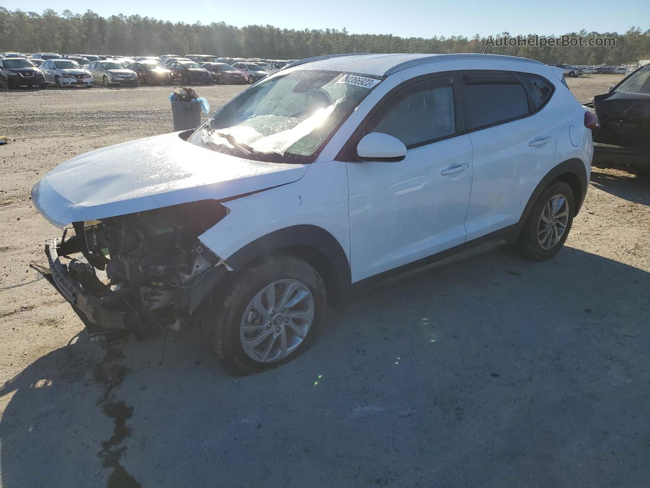 2016 Hyundai Tucson Limited White vin: KM8J33A47GU177092