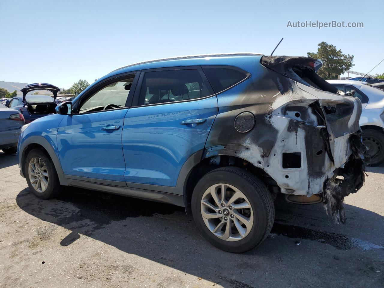 2016 Hyundai Tucson Limited Blue vin: KM8J33A48GU116429