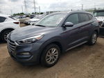 2017 Hyundai Tucson Limited Gray vin: KM8J33A49HU275543