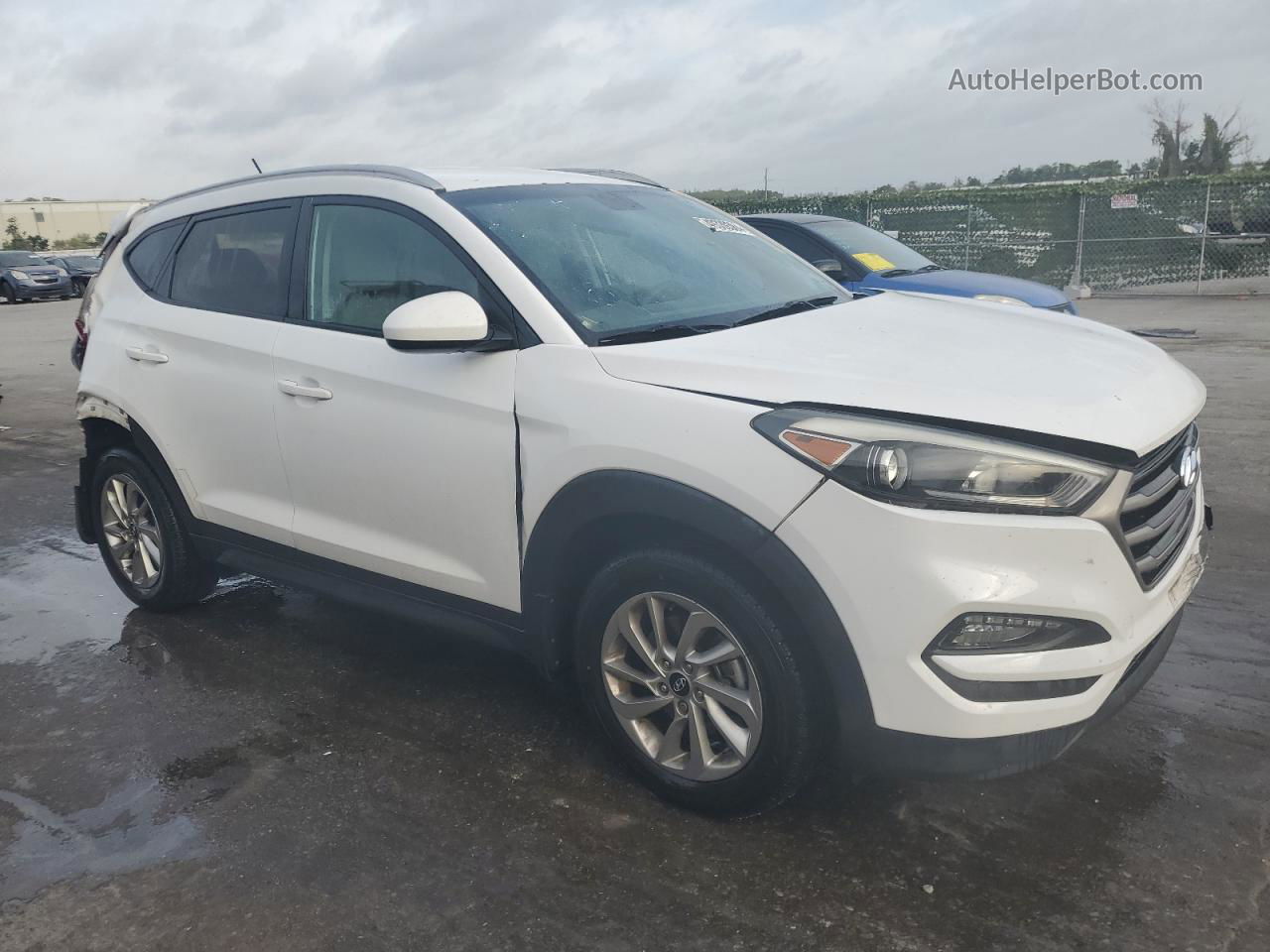 2016 Hyundai Tucson Limited Белый vin: KM8J33A4XGU221019