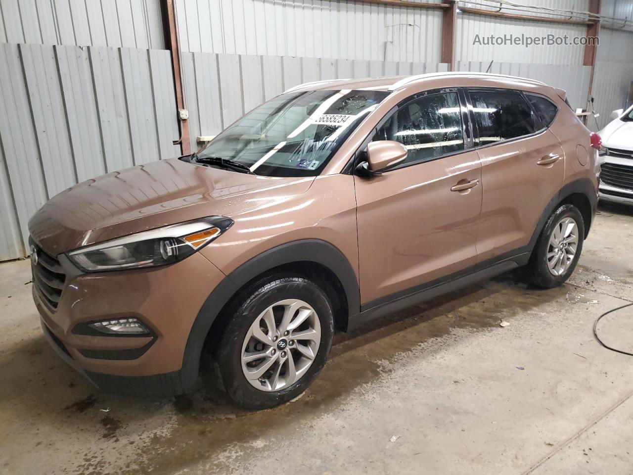 2016 Hyundai Tucson Limited Brown vin: KM8J3CA20GU096689