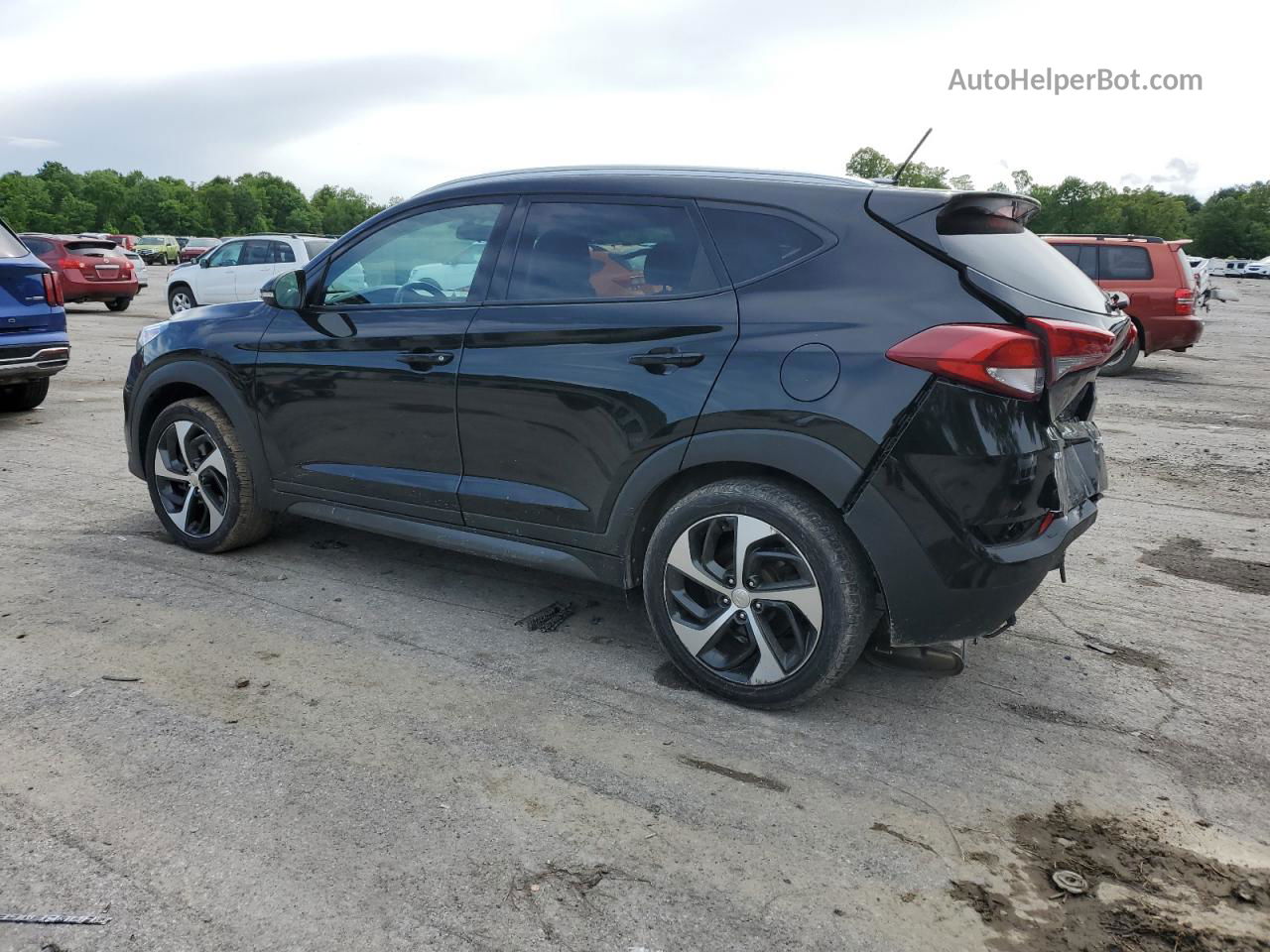 2016 Hyundai Tucson Limited Черный vin: KM8J3CA21GU182190