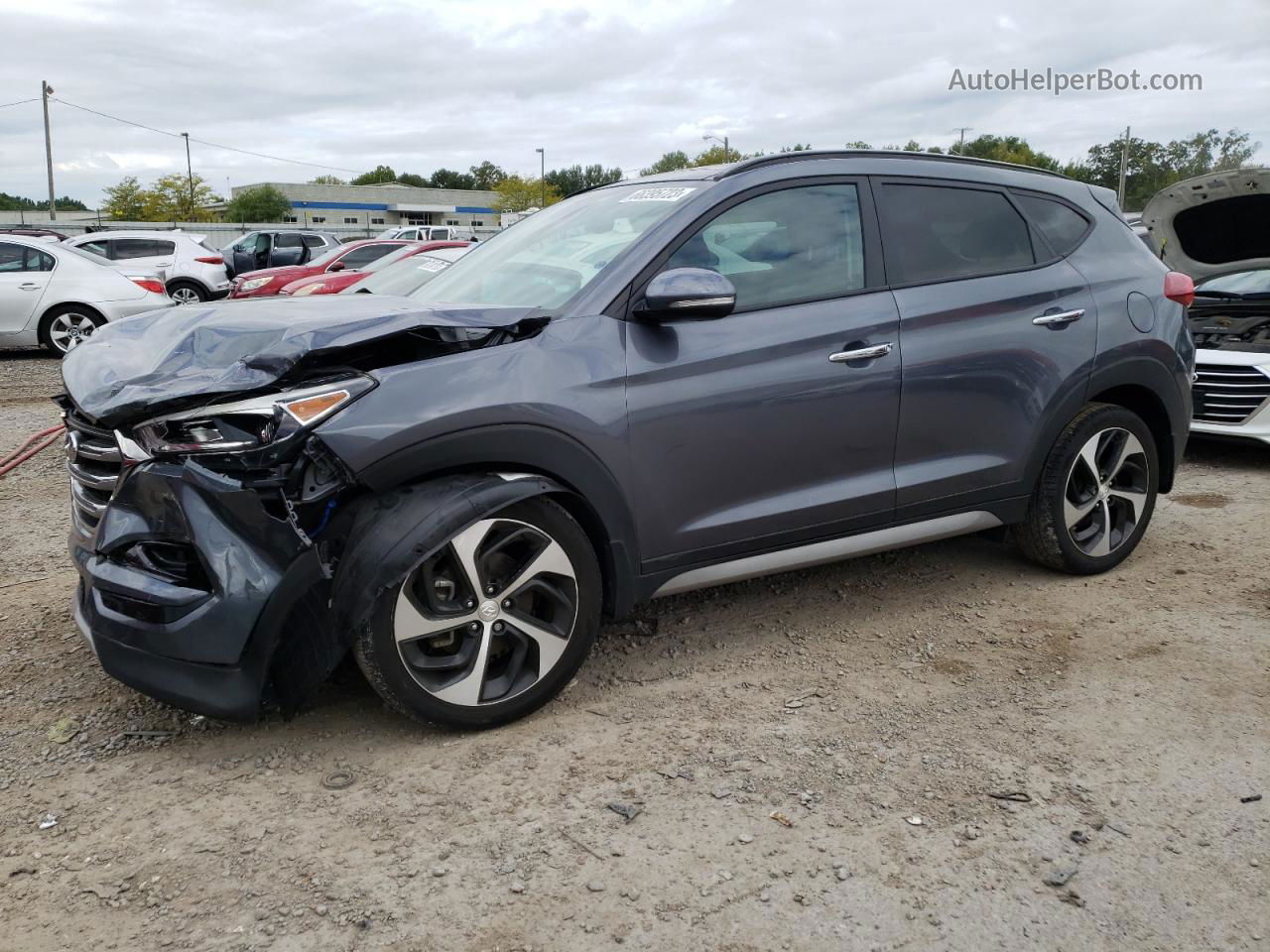 2017 Hyundai Tucson Limited Gray vin: KM8J3CA21HU284428