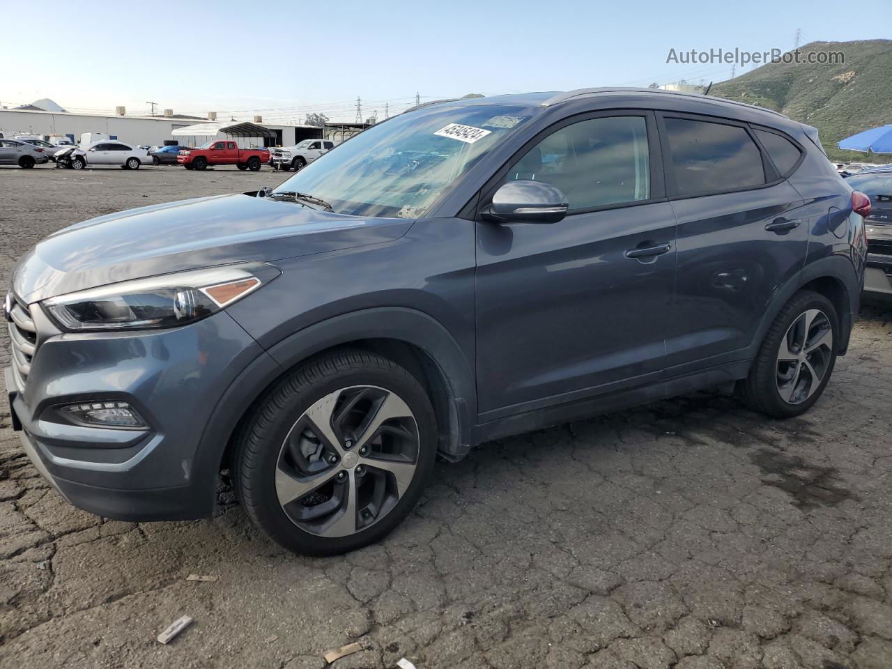 2016 Hyundai Tucson Limited Серый vin: KM8J3CA22GU127683