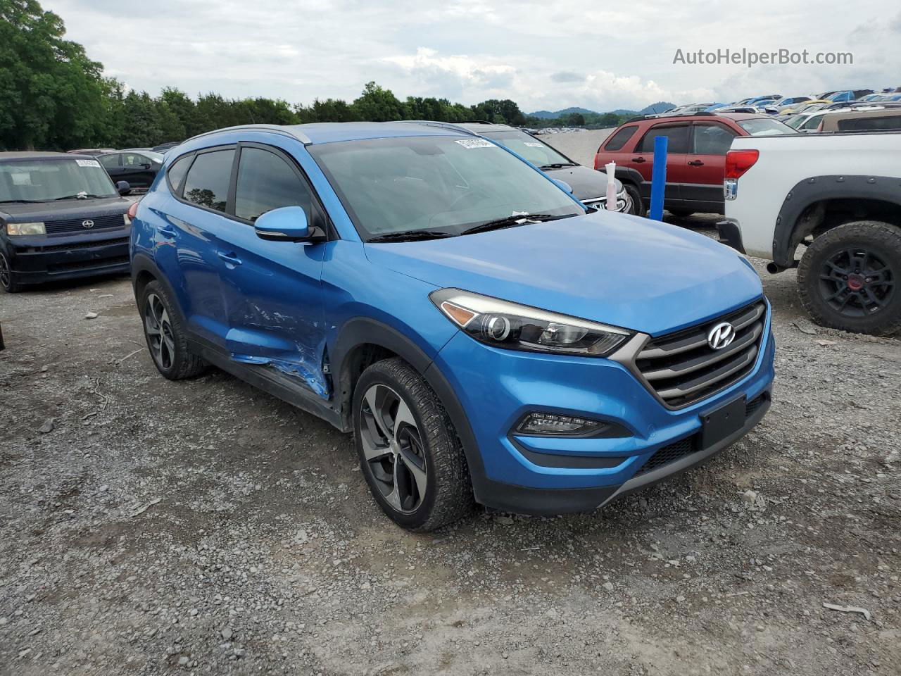 2016 Hyundai Tucson Limited Blue vin: KM8J3CA23GU104185