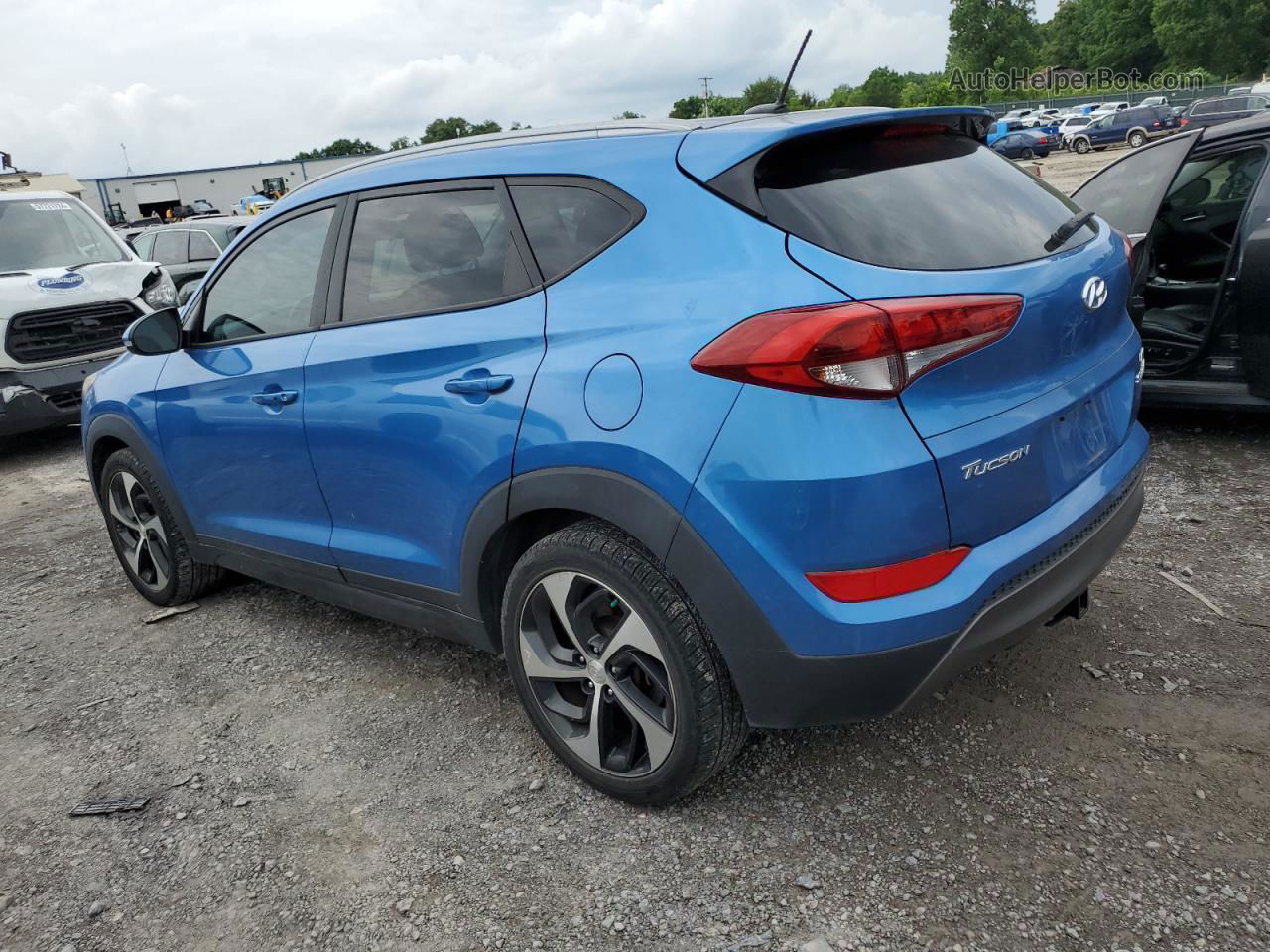 2016 Hyundai Tucson Limited Blue vin: KM8J3CA23GU104185