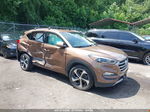 2017 Hyundai Tucson Sport Brown vin: KM8J3CA23HU375829