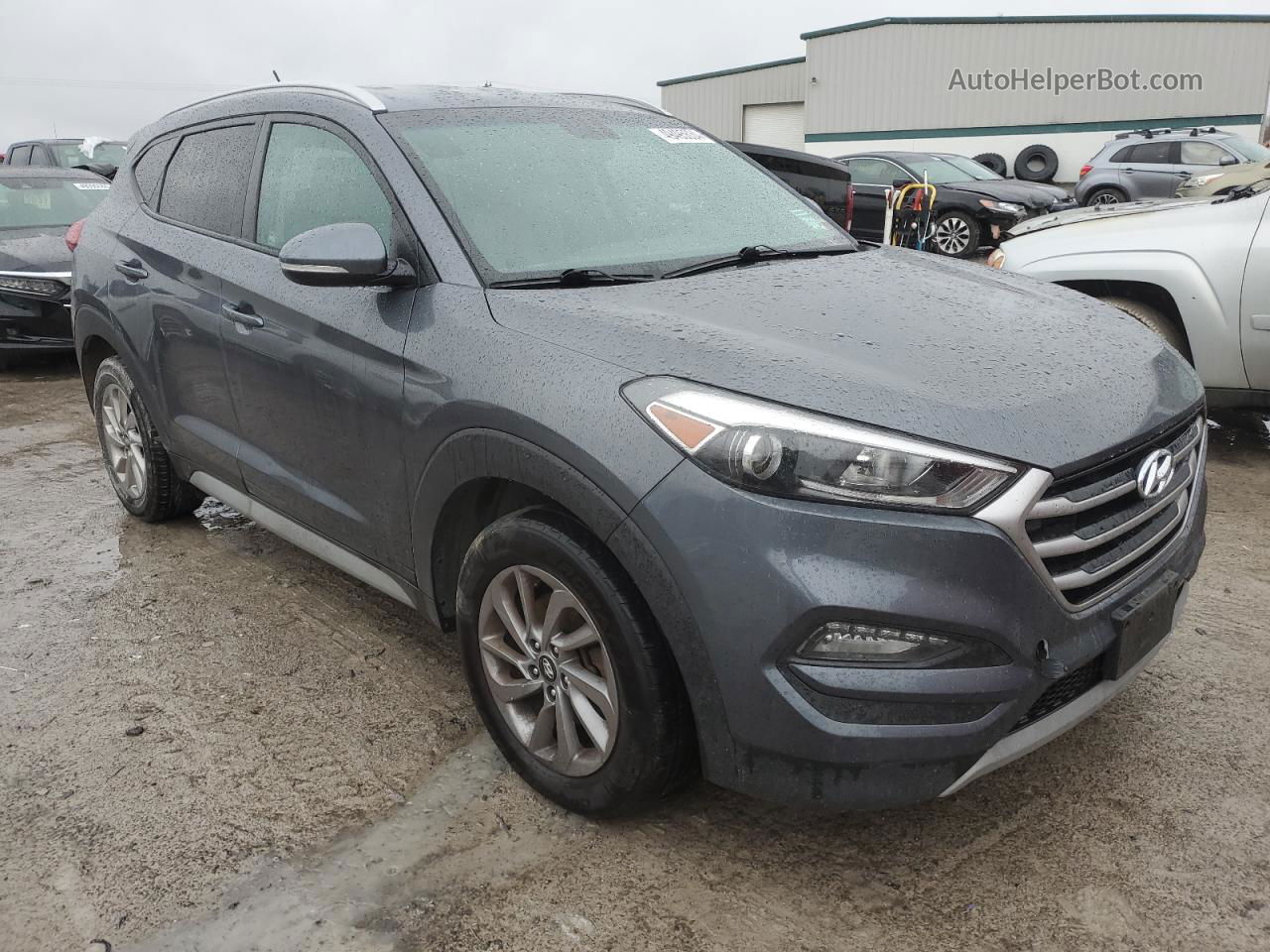 2017 Hyundai Tucson Limited Синий vin: KM8J3CA23HU426553