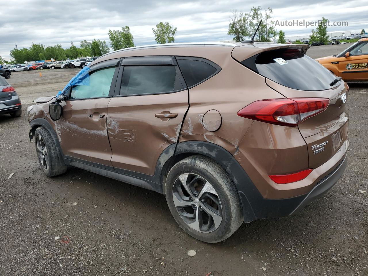 2016 Hyundai Tucson Limited Brown vin: KM8J3CA24GU080298