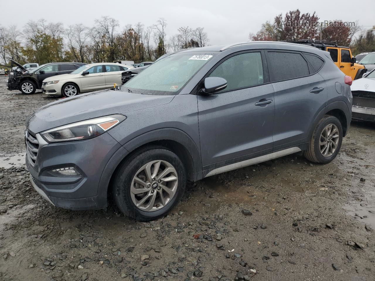 2017 Hyundai Tucson Limited Серый vin: KM8J3CA24HU504225