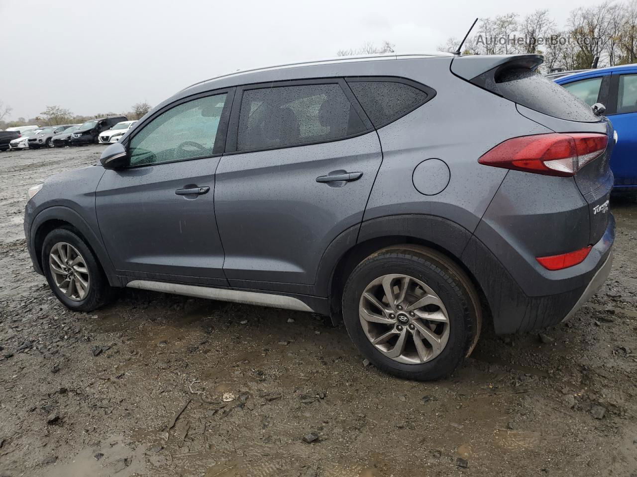 2017 Hyundai Tucson Limited Gray vin: KM8J3CA24HU504225