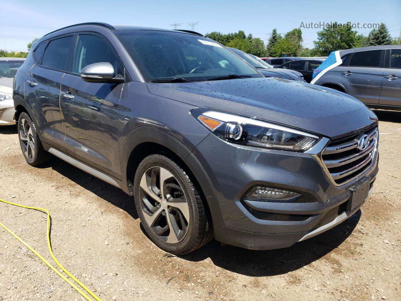 2017 Hyundai Tucson Limited Серый vin: KM8J3CA24HU522241