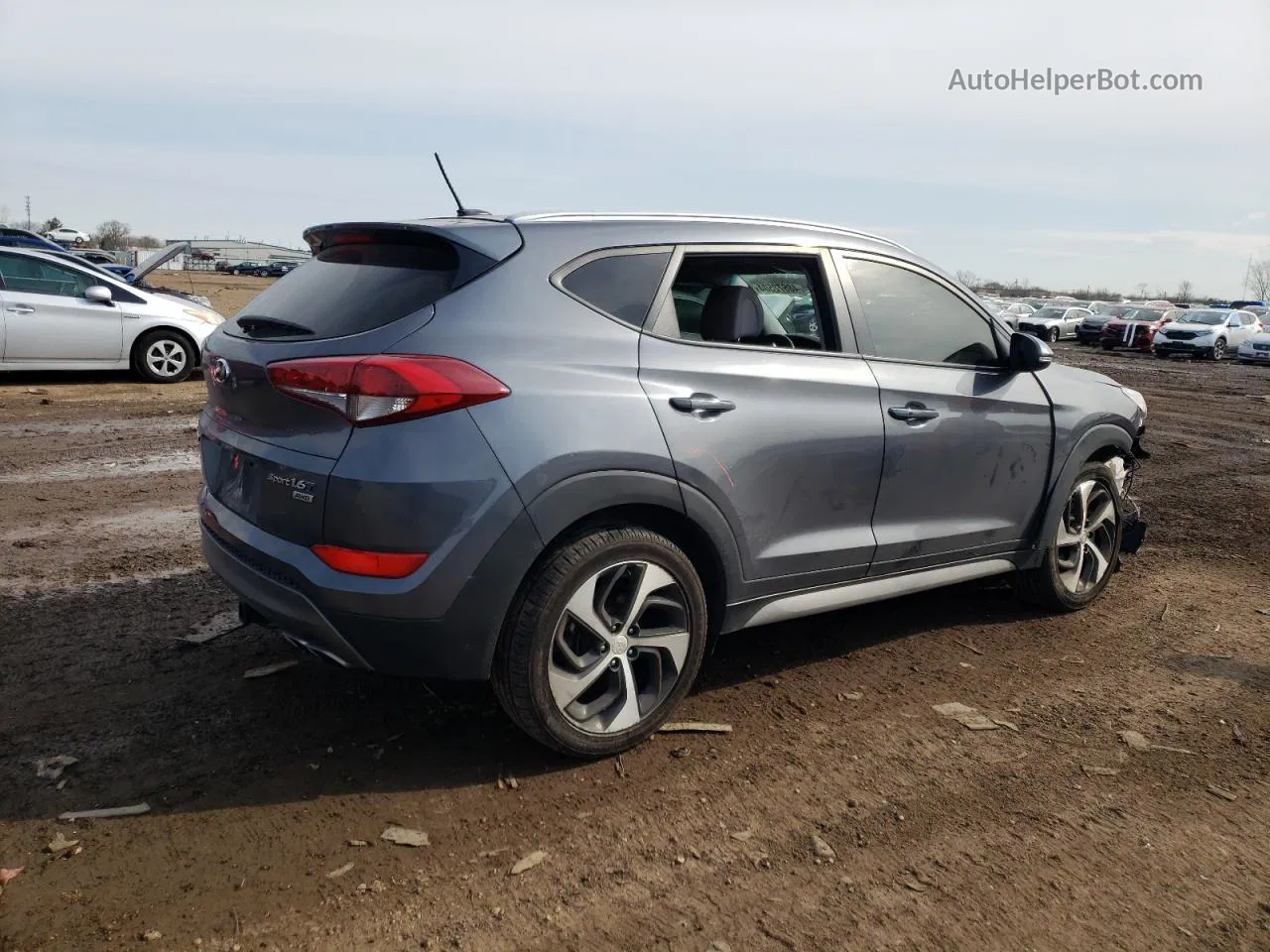 2017 Hyundai Tucson Limited Gray vin: KM8J3CA24HU531909