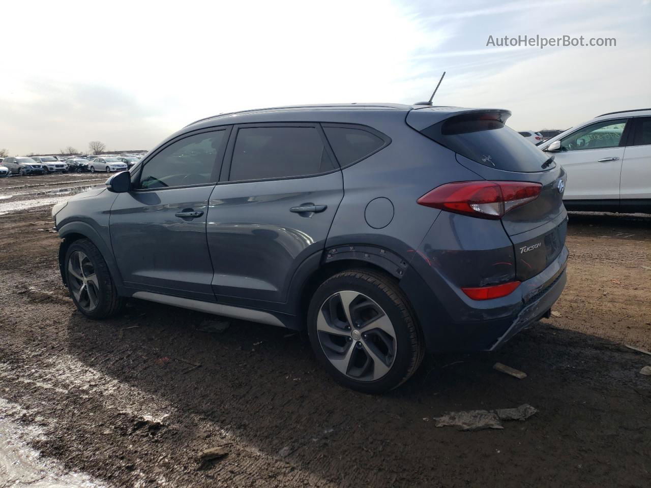 2017 Hyundai Tucson Limited Gray vin: KM8J3CA24HU531909