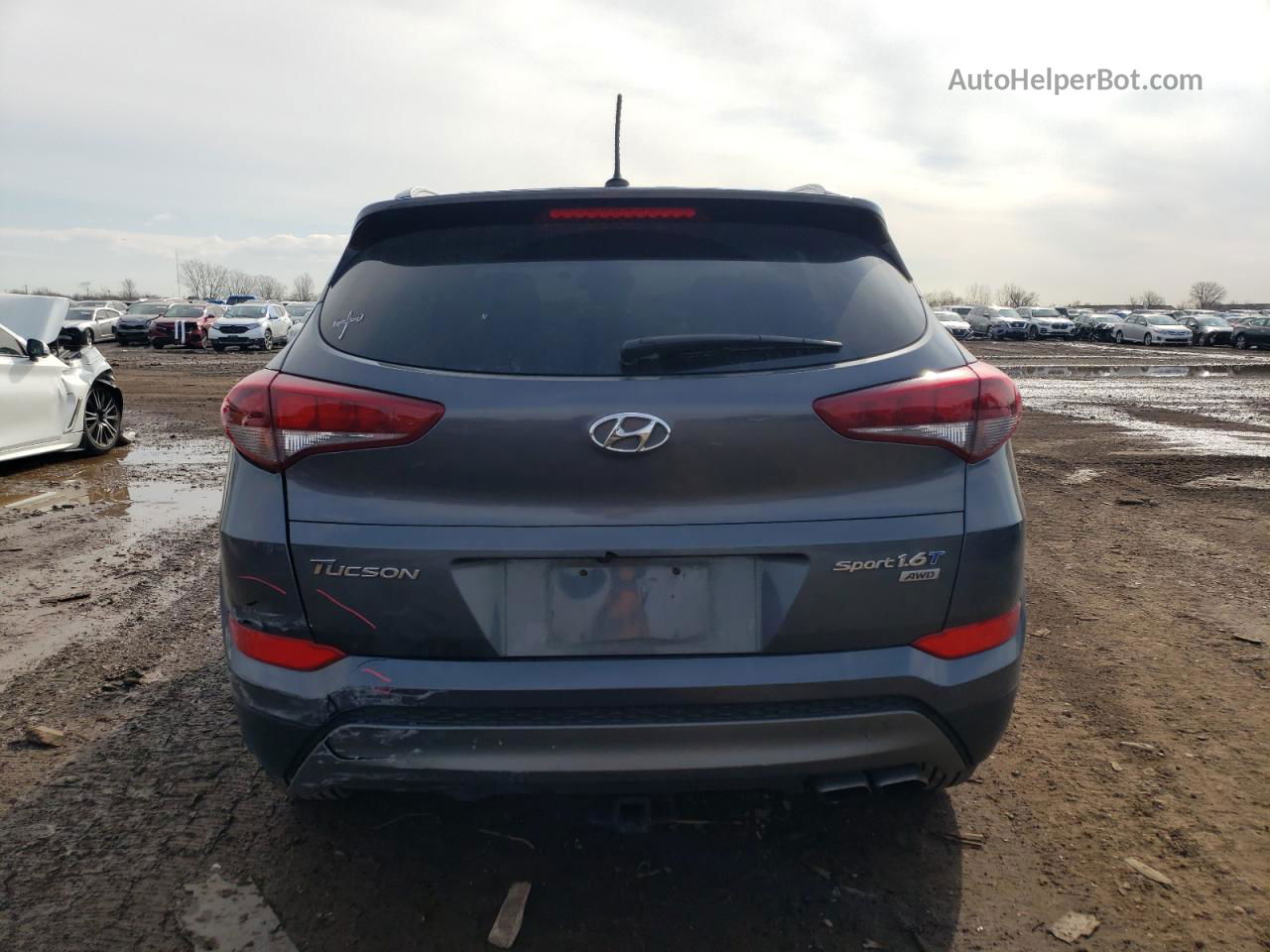 2017 Hyundai Tucson Limited Gray vin: KM8J3CA24HU531909